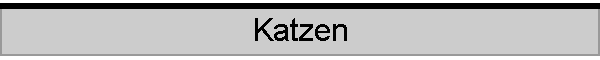 Katzen