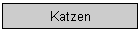 Katzen